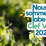 Domaine De Ludeye, D'hotes - Medoc Listrac-Médoc