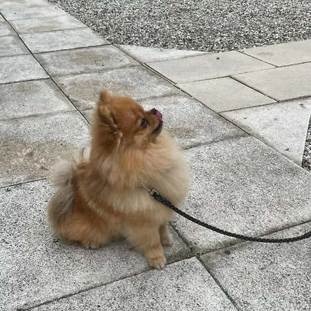 D'hotes Ecolabellisees Du Domaine De Ludeye - Serenite Dans Le Medoc 3*