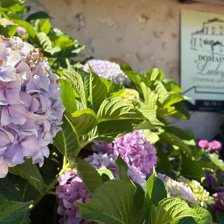 Domaine De Ludeye 3* Listrac-Médoc