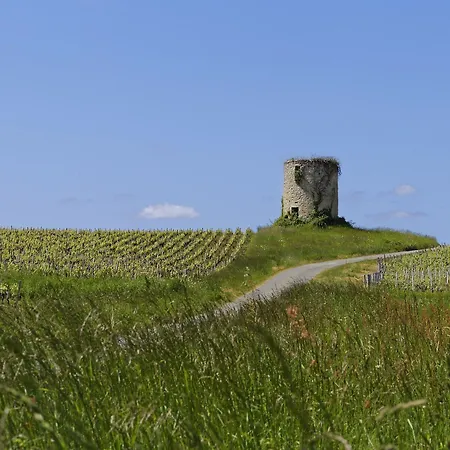 Domaine De Ludeye, D'hotes - Medoc