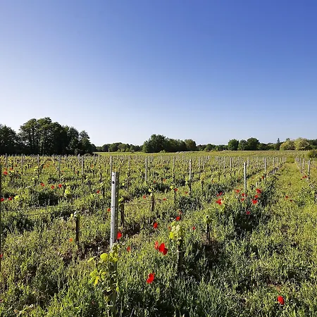 Domaine De Ludeye, D'hotes - Medoc 3* Listrac-Medoc