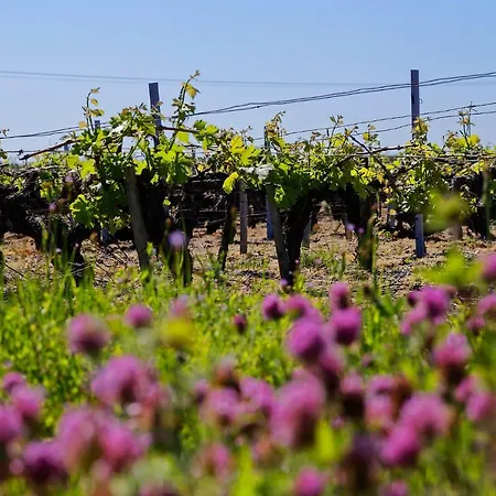D'hotes Ecolabellisees Du Domaine De Ludeye - Serenite Dans Le Medoc Vendégház 5*